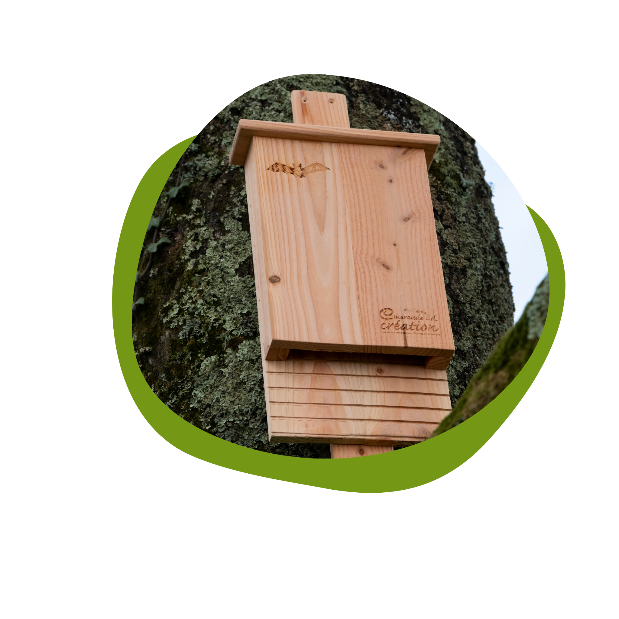 nichoir à chauves souris