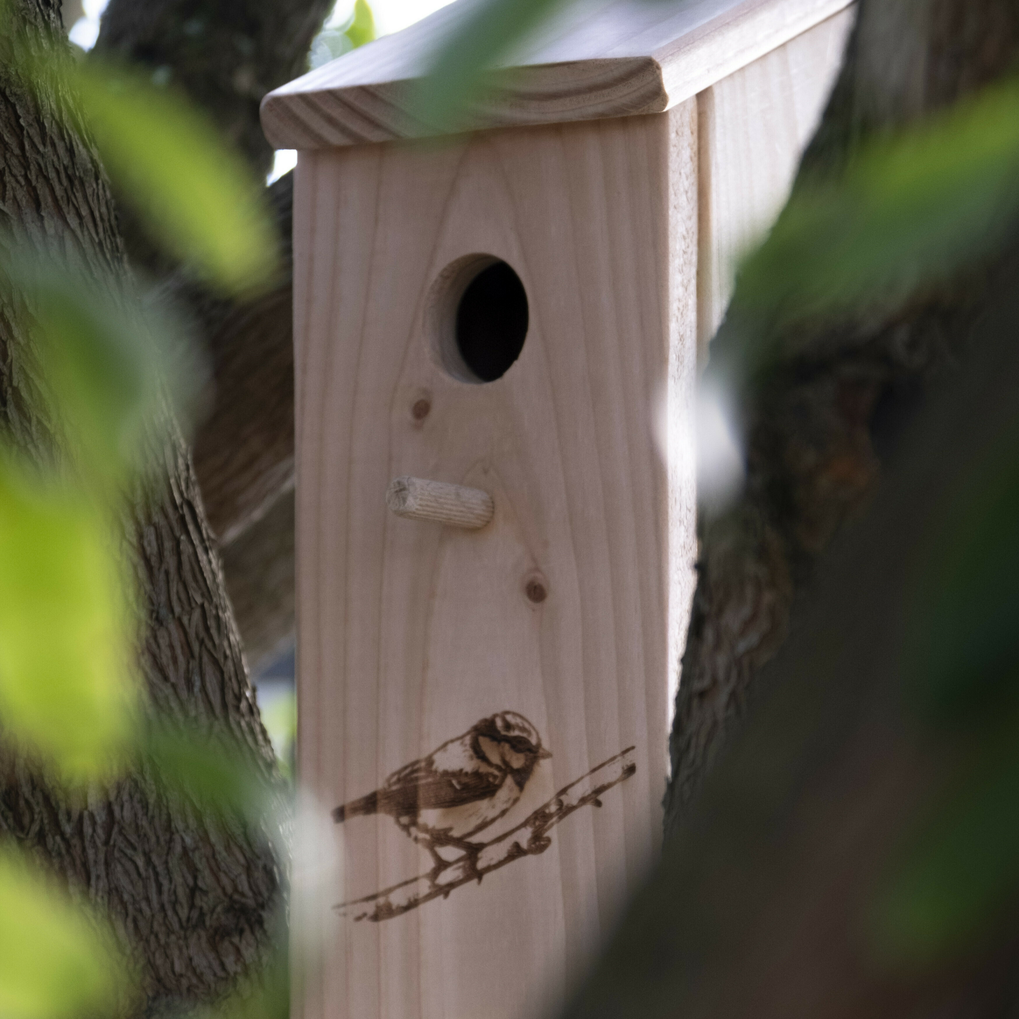 Abris_messange_7f3f4789