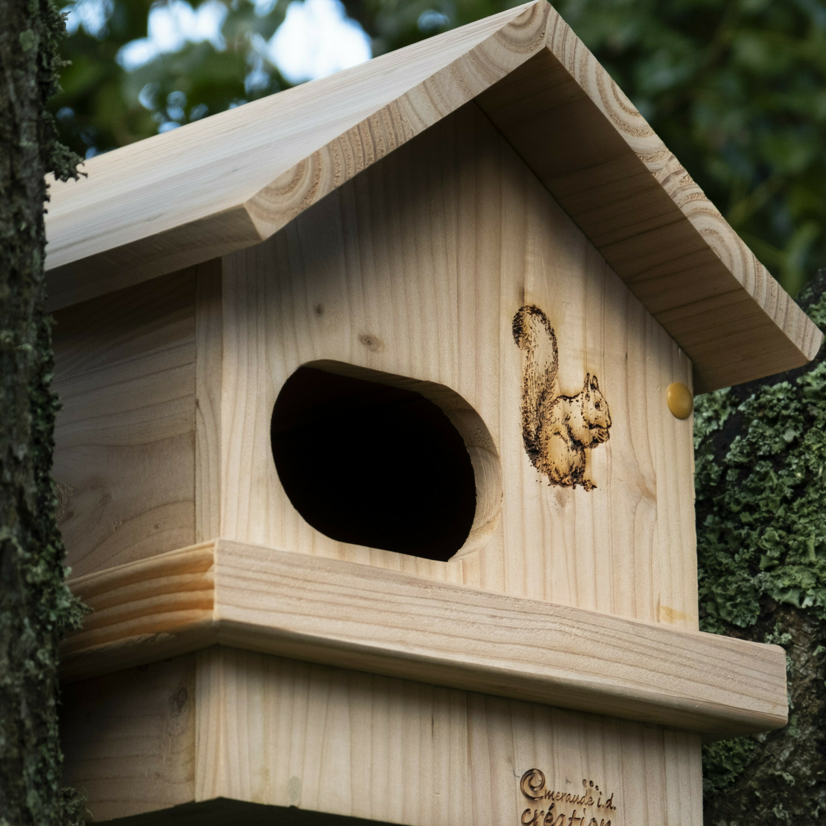 Nichoi_cureuil_6185cecd_dfca4ef0