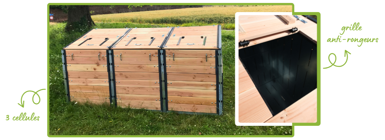 HEADER_EMILING_CREATION_bb82f4b6_866cb816