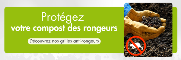 HEADER_EMILING_CREATION_21