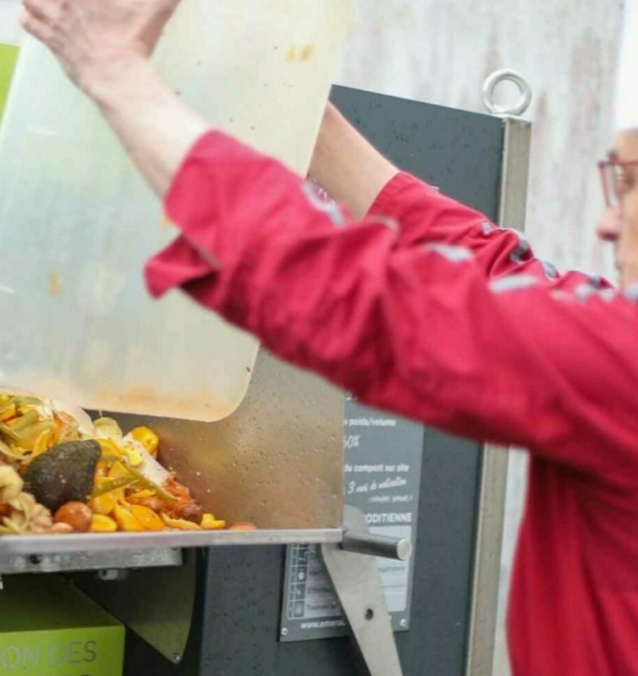 11_FRELONS_ASIATIQUES_111d4ba2_8d103290